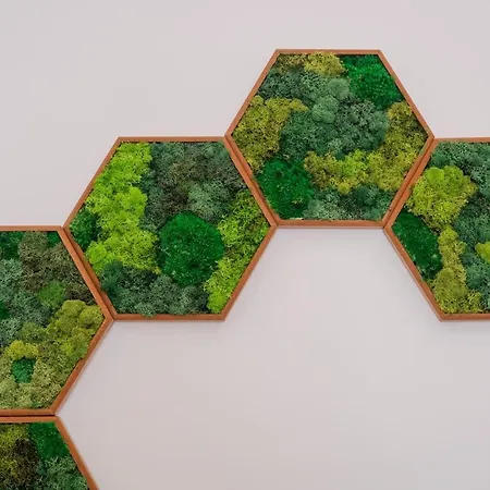 Like-home-t1 Apt-the Counstryside In The