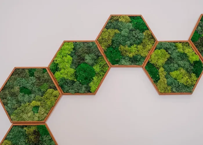 Like-home-t1 Apt-the Counstryside In The