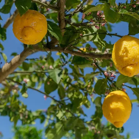 아파트 Like-home-t1 Apt-the Counstryside In The