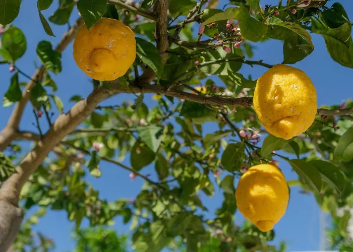 아파트 Like-home-t1 Apt-the Counstryside In The